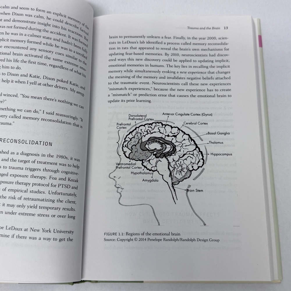 Rethinking Trauma Treatment Courtney Armstrong Attachment Memory Hardcover Book - Picture 6 of 9